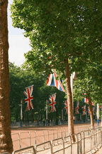 Queen's Garden Bracelet