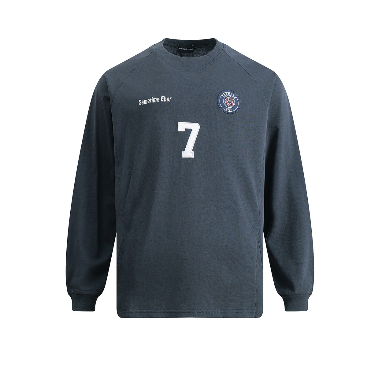Embroidered hooded sweatshirt for men